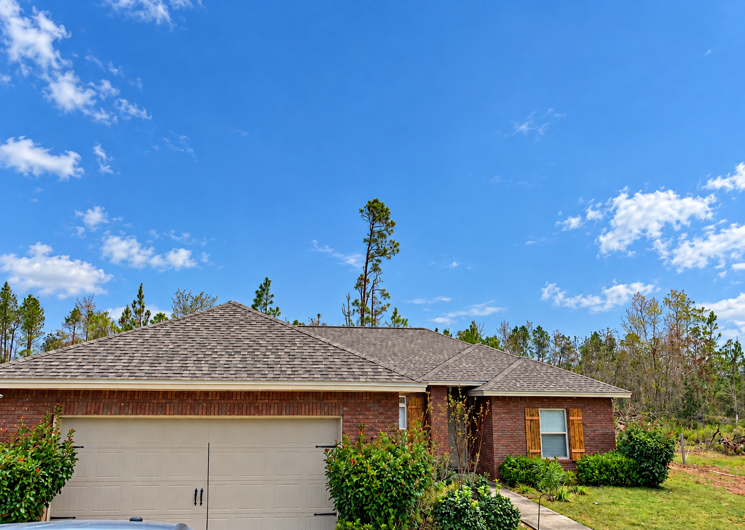 New shingle roof